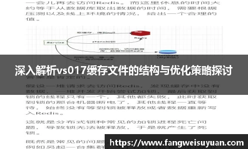 深入解析vs017缓存文件的结构与优化策略探讨