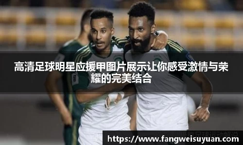 高清足球明星应援甲图片展示让你感受激情与荣耀的完美结合